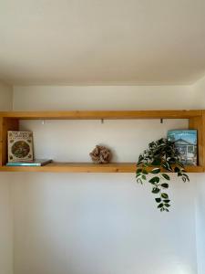 Beautiful Bohemian Double Bedroom in Birmingham