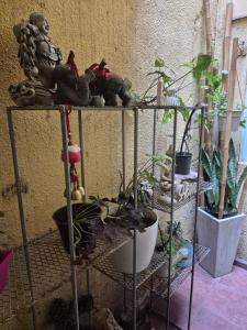 Apartamento en Villa Carlos Paz