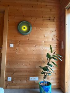 Chalets Small cottage : photos des chambres