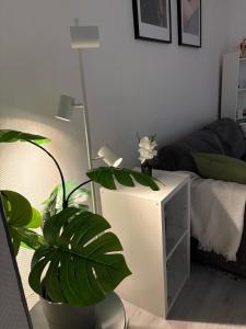 Appartements Cozy apartment - Downtown Place d-Erlon : photos des chambres