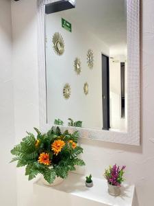 Alojamiento Casa-posada CAMELL