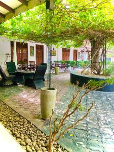 INTEC Kedella Guest