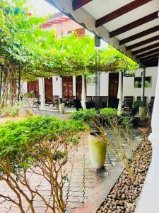 INTEC Kedella Guest