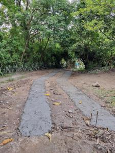 Country house on the lake