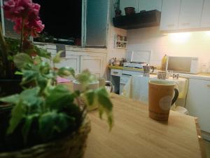 habitación de 2 camas con 2 ventanas al exterior y TV en casa compartida