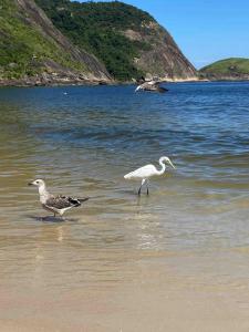 Aconchegante Loft Itaipu Na Rua da Amizade
