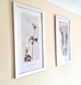 Ruby Retreat - Entire House - WiFi - 4 Bed - Garden