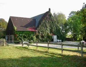 Hof Fetthörn, Ferienzimmer Muschel - Köhn