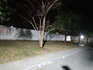 Families & Couples & Couples