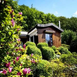 Chalet Bellevue - 艾恩贝克