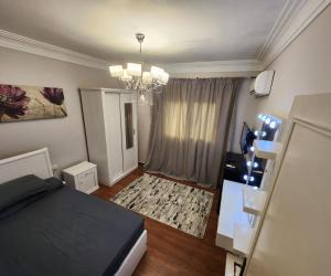 apartment in nasr city