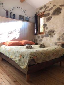 Maisons de vacances Les pentes du chateau de Retourtour : photos des chambres