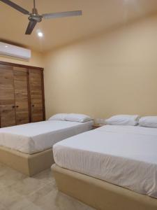 Tortuga Real Huatulco