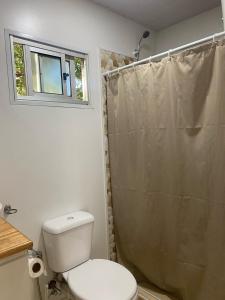 Green House Modulos Yoli #1