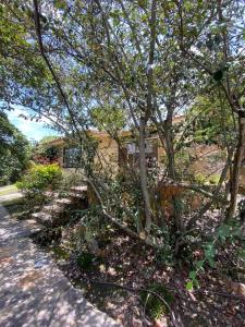 cabaña casa cristal