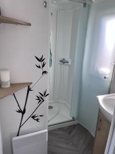 Mobilhome de rêve 2 chambres