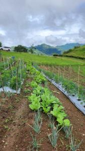 Inn the Mountain a farm house on a foggy farm hill