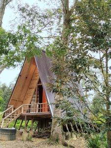 FarmStay Vua Sầu Riêng