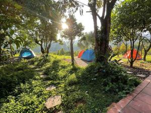 FarmStay Vua Sầu Riêng