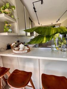 Villa Barbara, serviced accommodation in the heart of Puntarena beach club