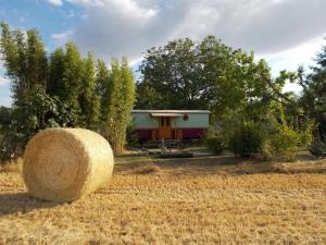 B&B / Chambres d'hotes La badele : Chambre Familiale