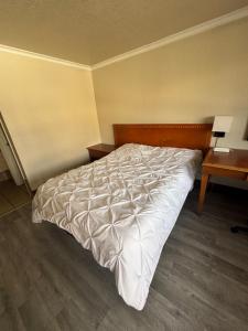 Queen Room - Non Smoking room in Jet Inn Motel-SeaTac Tukwila