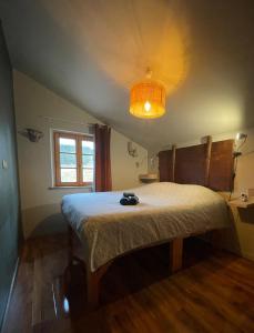 Cocon au cœur des Vosges