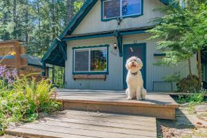 Rainiers Iconic Cabin with Forest Views & Hot Tub