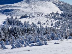 Appartements Studio sur les pistes a Super Besse - FR-1-814-108 : photos des chambres