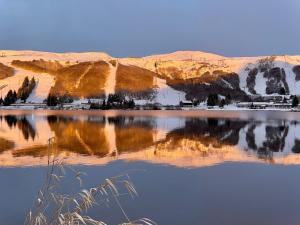 Appartements Studio confortable 4 pers. au coeur de Super Besse, acces direct aux pistes - FR-1-814-118 : photos des chambres