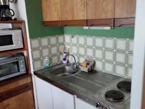 Appartements Studio bien equipe pres des pistes a Super Besse - FR-1-814-113 : photos des chambres