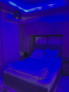 The Modern Nest Magawish