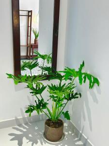 Lamer Beachside Studio Cozy Tan Thanh Beach Hoi An by Beachside Boutique Homes