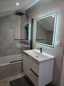 Appartements Oasis Balcon Vibes Tropicales Arena Parc Expo Clim : photos des chambres