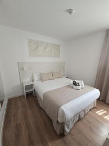 Double Room with Private Bathroom room in Hostal Sol 4