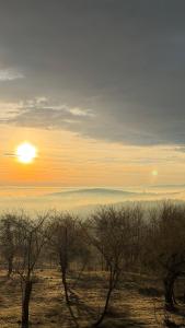 tbarn - Будинок з чаном в Карпатах - tranquilo barn