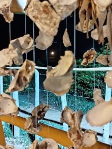 Vila ilha de corumbau