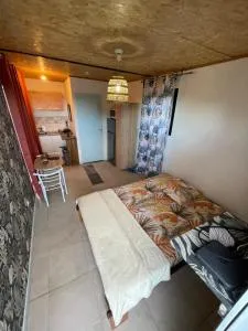 Le petit Cocon "Sainte Anne" - 圣罗斯