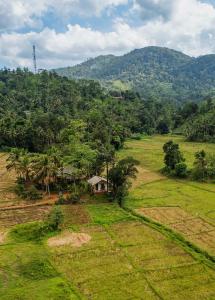 Forest & Fields Sinharaja - Rainforest Edge Pure Stillness - 4hvězdičkové hotely ve městě Deniyaya