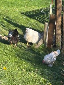 Le chalet de Doucy Bardet