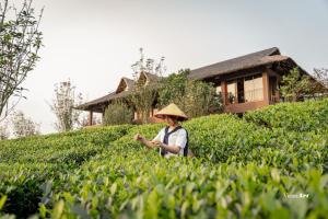 Tiến Yên Farmstay - Phòng cộng đồng