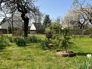 Maisons de vacances Chez Brune : photos des chambres