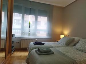 Céntrico apartamento Oviedo Parking y wifi gratuitos Admite mascotas