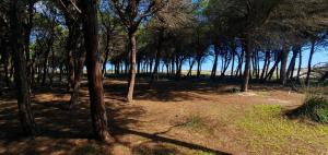 MURISKA- Holiday Home img20