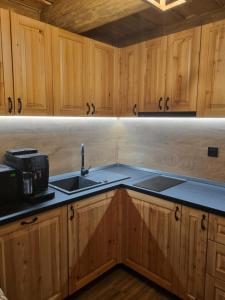 Cabana dintre brazi Mărișel