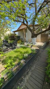 Appartements oasis : photos des chambres