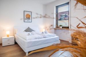 Aurora - The City Center Apartment