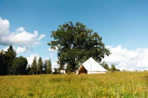 Glamping in Småland - Ubytování bez kategorie ve městě Eksjö