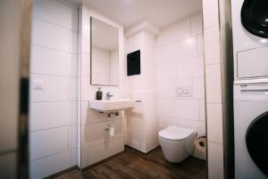 The Timber Studio in Brienz