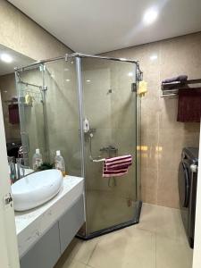 Victory Homestay Times City